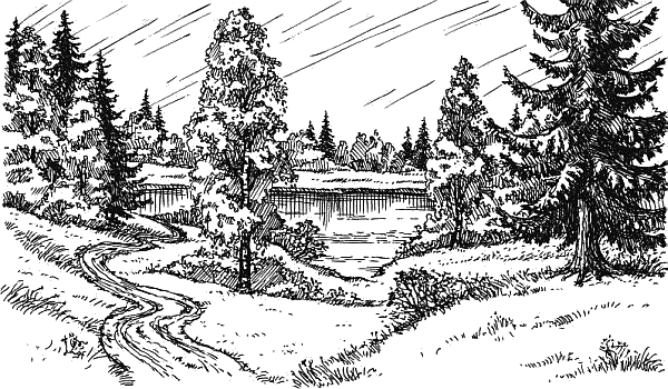 Воробьишко. Рассказы с вопросами и ответами для почемучек - _139.png