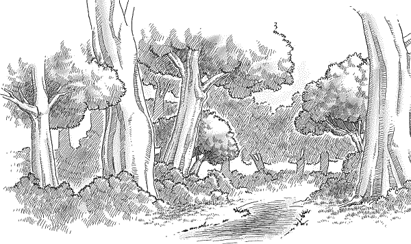 Воробьишко. Рассказы с вопросами и ответами для почемучек - _141.png