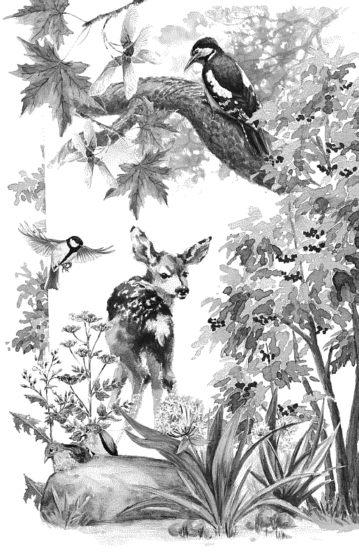 Воробьишко. Рассказы с вопросами и ответами для почемучек - _143.png