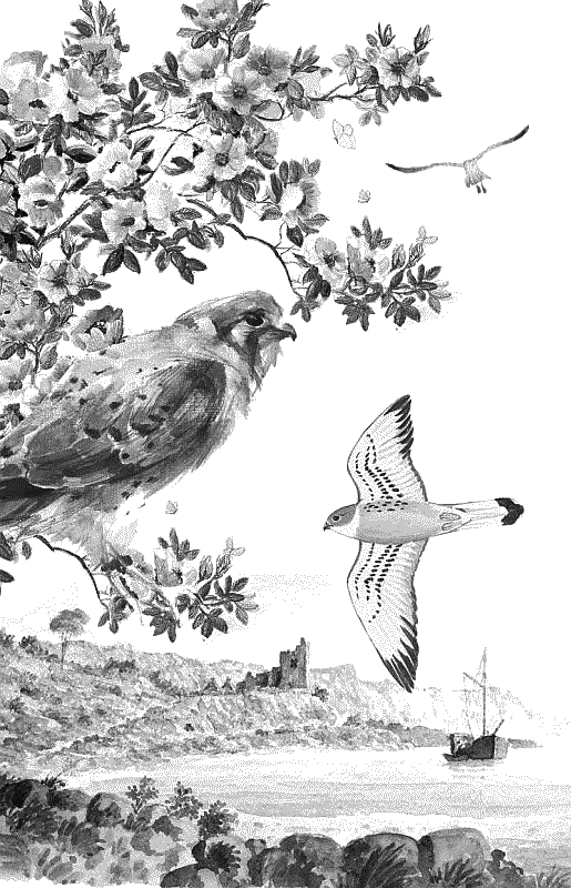 Воробьишко. Рассказы с вопросами и ответами для почемучек - _144.png