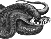 Воробьишко. Рассказы с вопросами и ответами для почемучек - _148.png