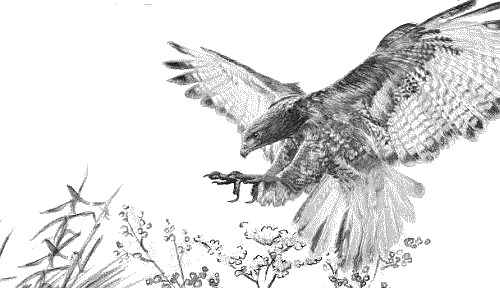 Воробьишко. Рассказы с вопросами и ответами для почемучек - _151.png