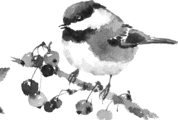 Воробьишко. Рассказы с вопросами и ответами для почемучек - _155.png