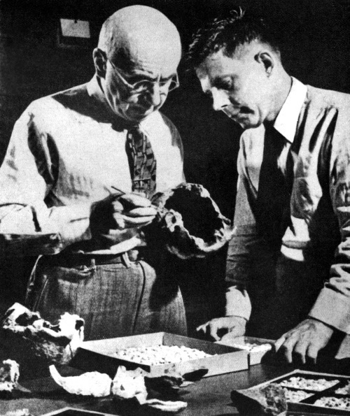 Тайны эволюции - i_003.jpg