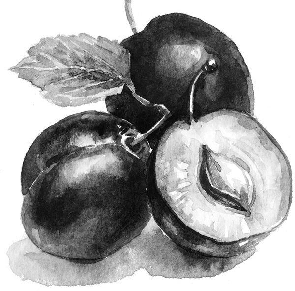 Мильтон и Булька. С вопросами и ответами для почемучек - _008.jpg