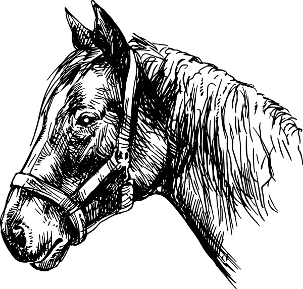 Мильтон и Булька. С вопросами и ответами для почемучек - _025.jpg