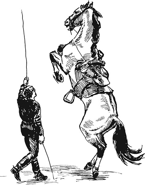 Мильтон и Булька. С вопросами и ответами для почемучек - _026.jpg