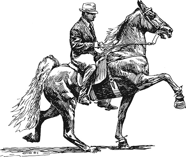 Мильтон и Булька. С вопросами и ответами для почемучек - _028.jpg