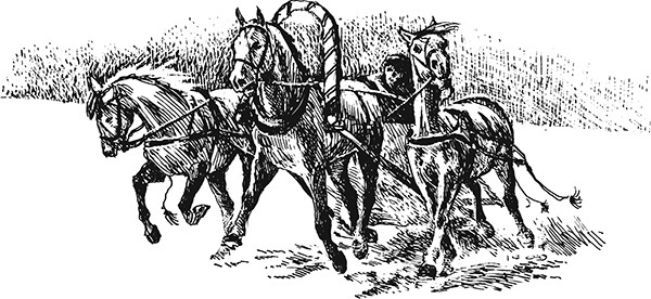 Мильтон и Булька. С вопросами и ответами для почемучек - _035.jpg