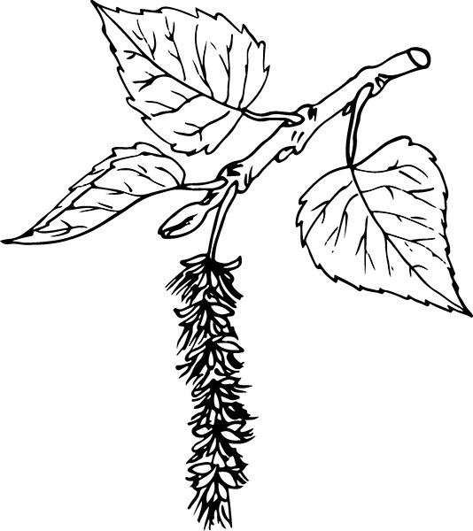 Мильтон и Булька. С вопросами и ответами для почемучек - _038.jpg