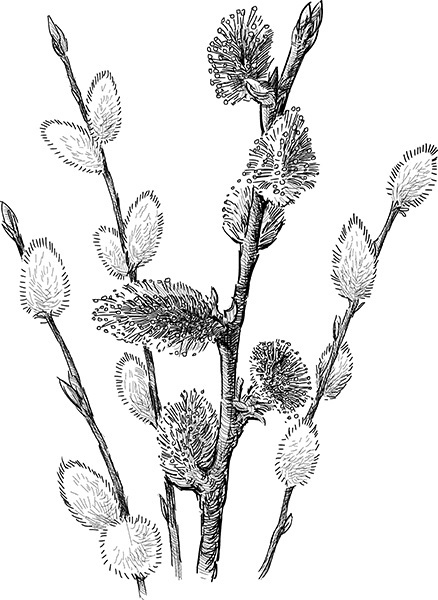 Мильтон и Булька. С вопросами и ответами для почемучек - _039.jpg