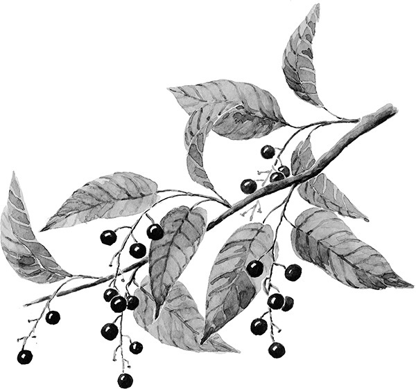 Мильтон и Булька. С вопросами и ответами для почемучек - _043.jpg