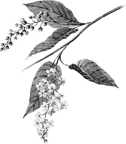 Мильтон и Булька. С вопросами и ответами для почемучек - _044.jpg