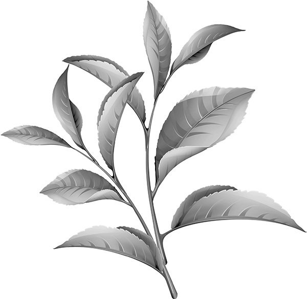 Мильтон и Булька. С вопросами и ответами для почемучек - _047.jpg