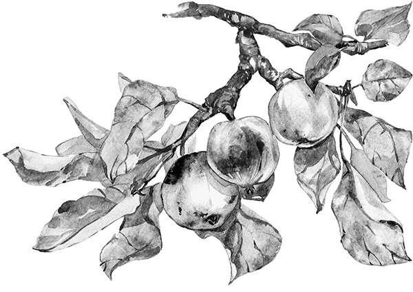 Мильтон и Булька. С вопросами и ответами для почемучек - _050.jpg