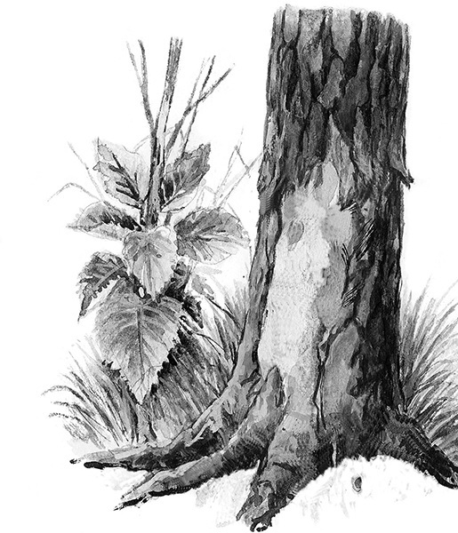 Мильтон и Булька. С вопросами и ответами для почемучек - _051.jpg