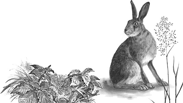 Мильтон и Булька. С вопросами и ответами для почемучек - _053.jpg