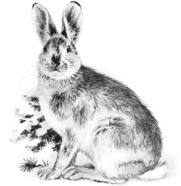 Мильтон и Булька. С вопросами и ответами для почемучек - _054.jpg