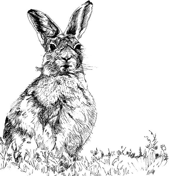 Мильтон и Булька. С вопросами и ответами для почемучек - _058.jpg