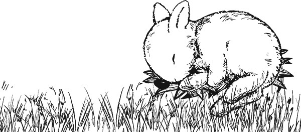 Мильтон и Булька. С вопросами и ответами для почемучек - _059.jpg