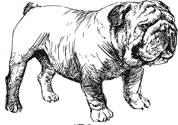 Мильтон и Булька. С вопросами и ответами для почемучек - _060.jpg