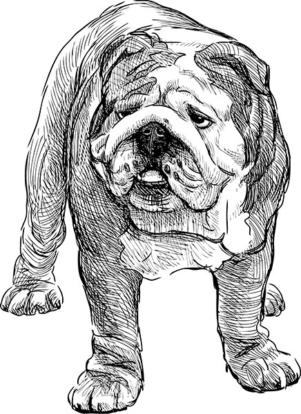 Мильтон и Булька. С вопросами и ответами для почемучек - _063.jpg