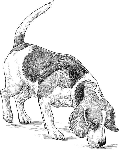 Мильтон и Булька. С вопросами и ответами для почемучек - _064.jpg