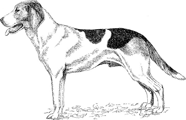 Мильтон и Булька. С вопросами и ответами для почемучек - _065.jpg