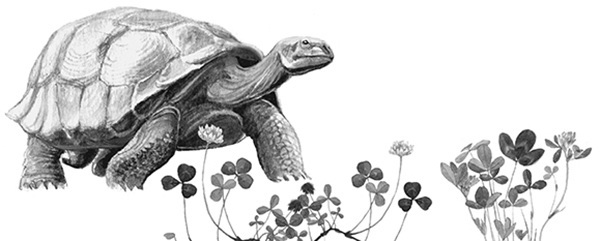 Мильтон и Булька. С вопросами и ответами для почемучек - _074.jpg