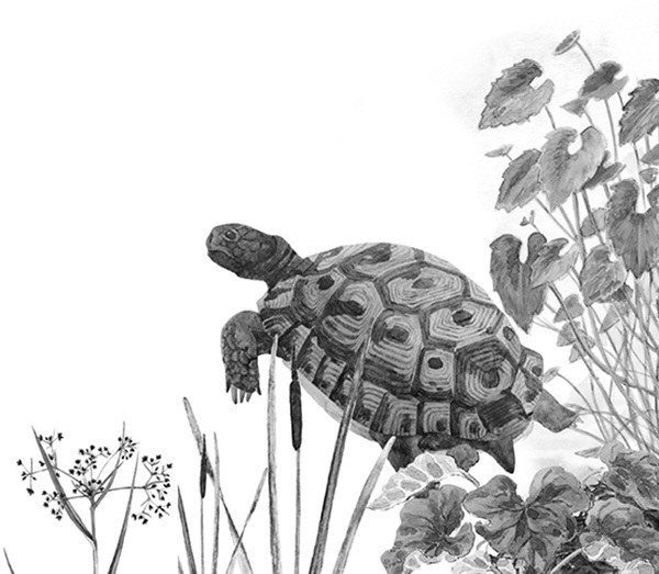 Мильтон и Булька. С вопросами и ответами для почемучек - _075.jpg