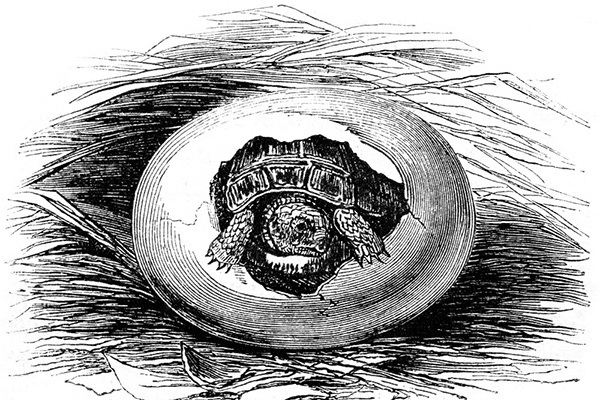 Мильтон и Булька. С вопросами и ответами для почемучек - _076.jpg