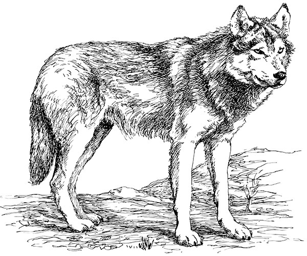 Мильтон и Булька. С вопросами и ответами для почемучек - _080.jpg