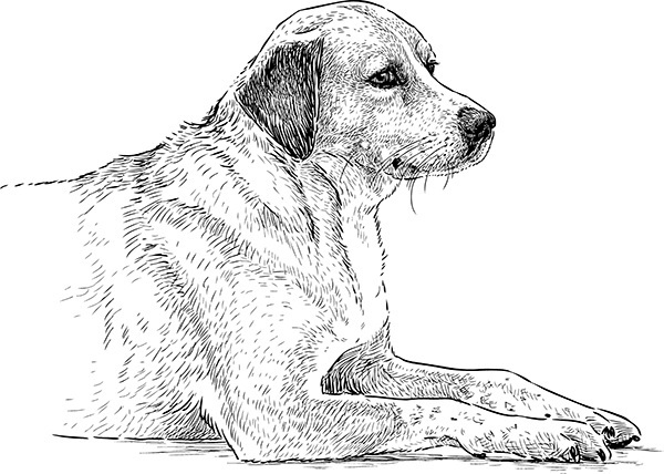 Мильтон и Булька. С вопросами и ответами для почемучек - _084.jpg