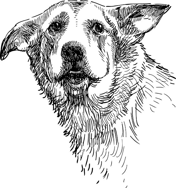 Мильтон и Булька. С вопросами и ответами для почемучек - _085.jpg