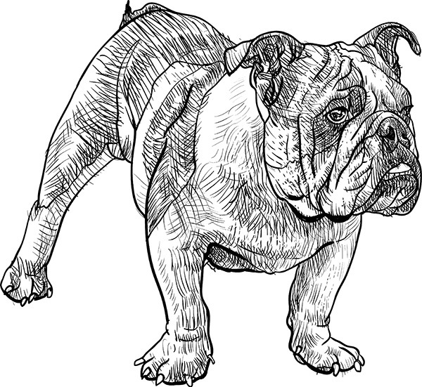 Мильтон и Булька. С вопросами и ответами для почемучек - _086.jpg