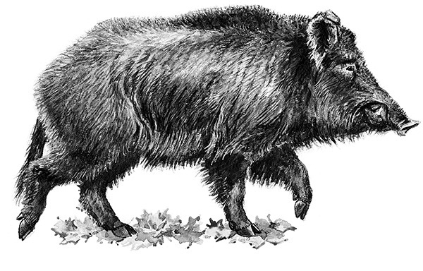 Мильтон и Булька. С вопросами и ответами для почемучек - _087.jpg