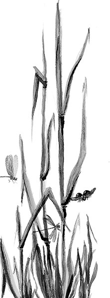 Мильтон и Булька. С вопросами и ответами для почемучек - _088.jpg