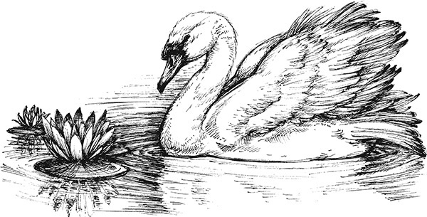 Мильтон и Булька. С вопросами и ответами для почемучек - _097.jpg