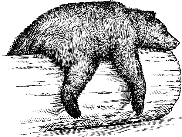 Мильтон и Булька. С вопросами и ответами для почемучек - _126.jpg