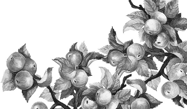 Мильтон и Булька. С вопросами и ответами для почемучек - _127.jpg