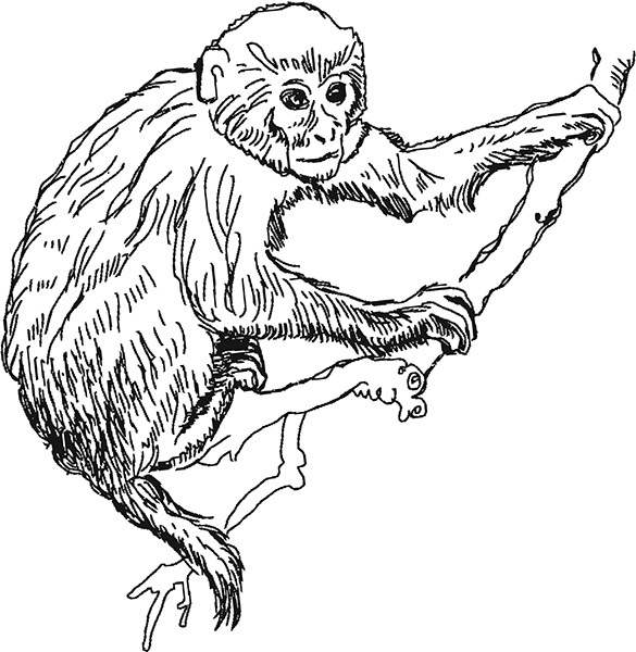 Мильтон и Булька. С вопросами и ответами для почемучек - _128.jpg