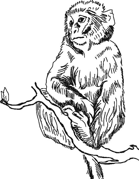 Мильтон и Булька. С вопросами и ответами для почемучек - _129.jpg