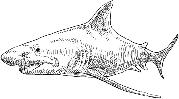Мильтон и Булька. С вопросами и ответами для почемучек - _133.jpg