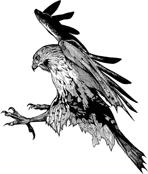 Мильтон и Булька. С вопросами и ответами для почемучек - _138.jpg