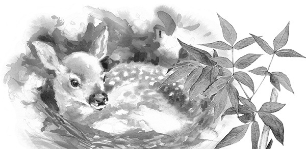 Мильтон и Булька. С вопросами и ответами для почемучек - _142.jpg