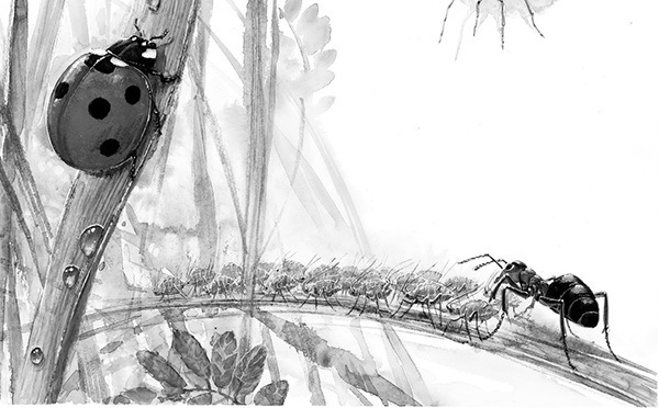 Мильтон и Булька. С вопросами и ответами для почемучек - _146.jpg