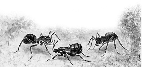 Мильтон и Булька. С вопросами и ответами для почемучек - _147.jpg