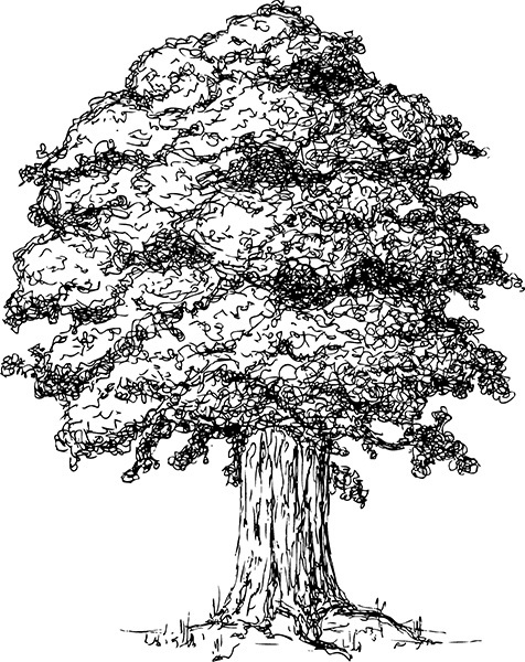 Мильтон и Булька. С вопросами и ответами для почемучек - _150.jpg