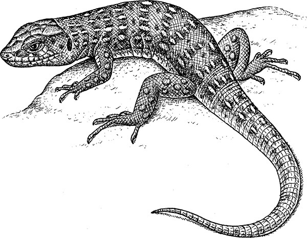 Мильтон и Булька. С вопросами и ответами для почемучек - _152.jpg