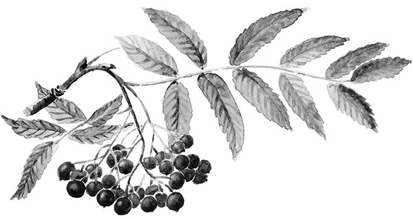 Мильтон и Булька. С вопросами и ответами для почемучек - _155.jpg